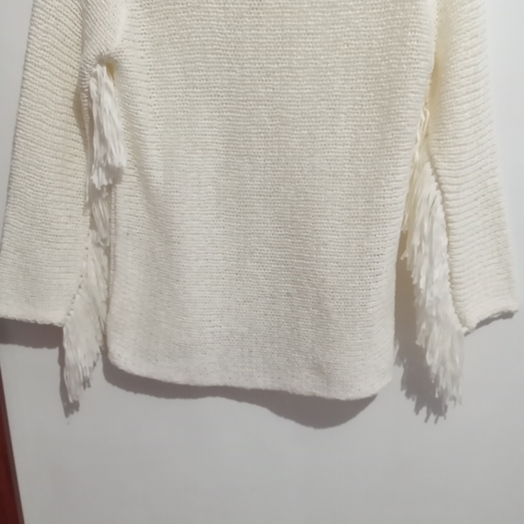 Zara M Knit Fringe Sleeves Sweater - Picture 5 of 9